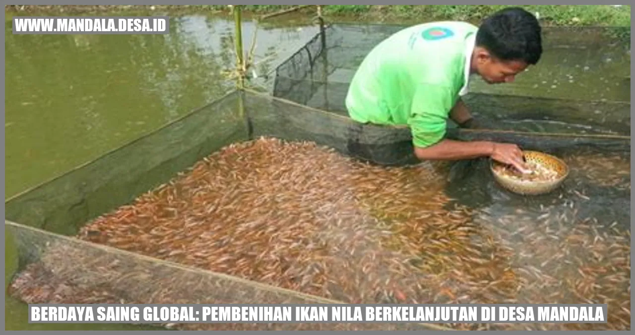Pembenihan Ikan Nila Berkelanjutan di Desa Mandala