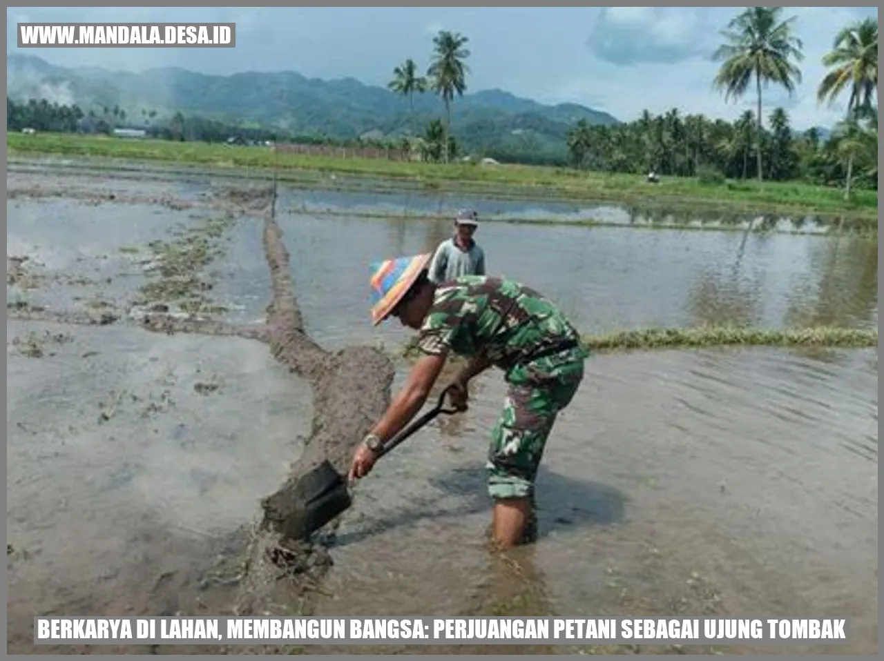 petani