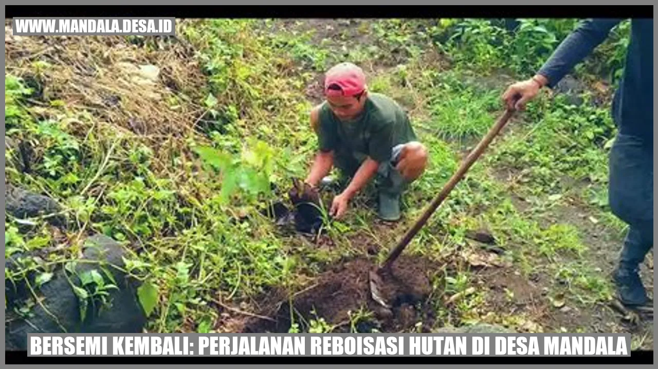 Reboisasi Hutan di Desa Mandala