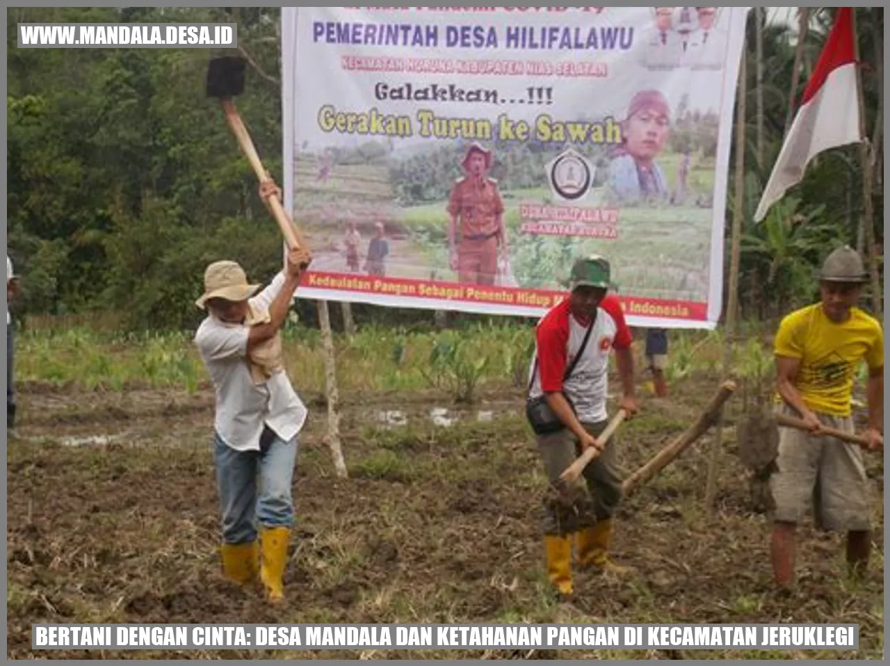 Bertani dengan Cinta: Desa Mandala dan Ketahanan Pangan di Kecamatan Jeruklegi