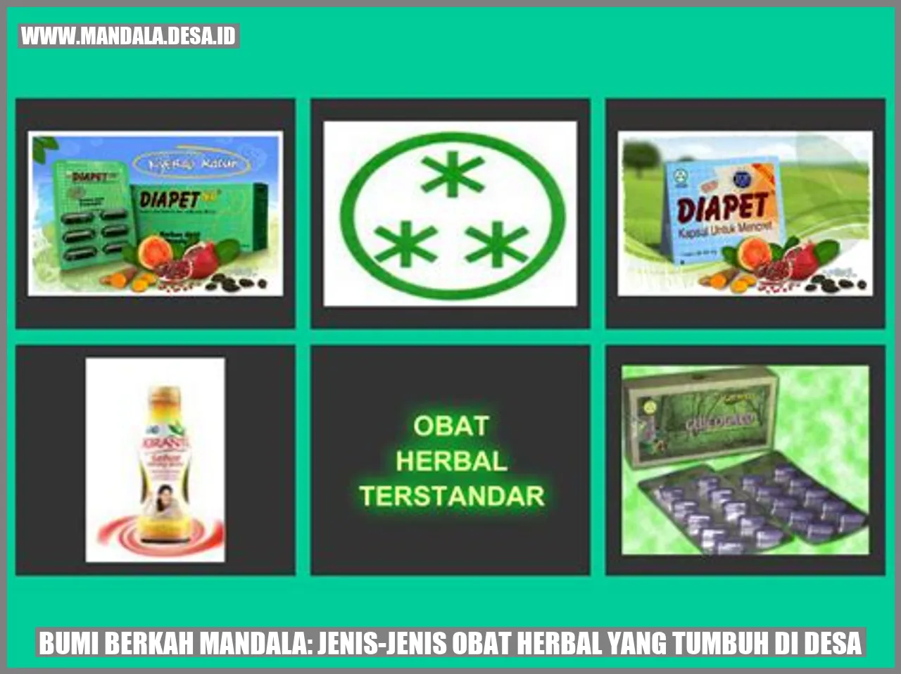 Bumi Berkah Mandala: Jenis-jenis Obat Herbal yang Tumbuh di Desa