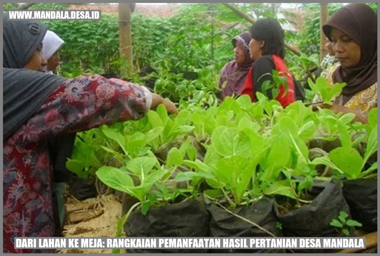 gambar pertanian di Desa Mandala