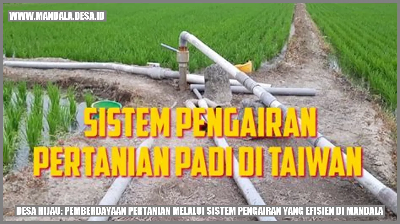 Desa Hijau: Pemberdayaan Pertanian Melalui Sistem Pengairan yang Efisien di Mandala