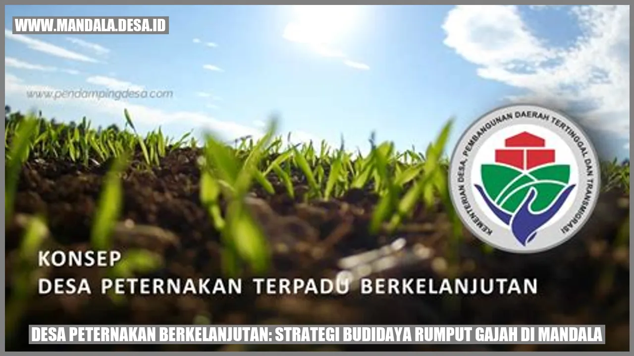 Gambar Desa Peternakan Berkelanjutan: Strategi Budidaya Rumput Gajah di Mandala