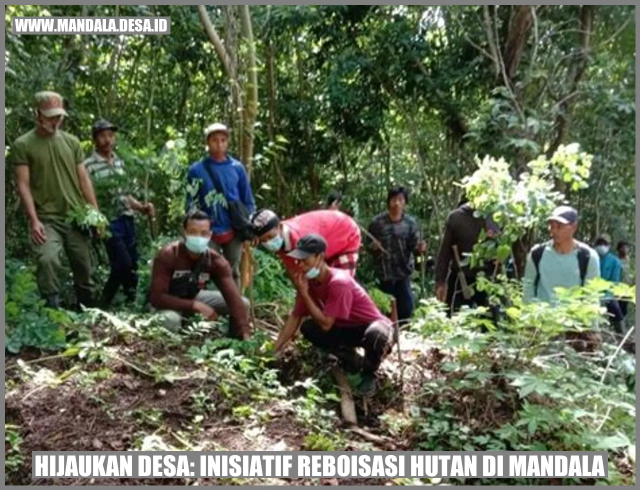 Hijaukan Desa: Inisiatif Reboisasi Hutan di Mandala