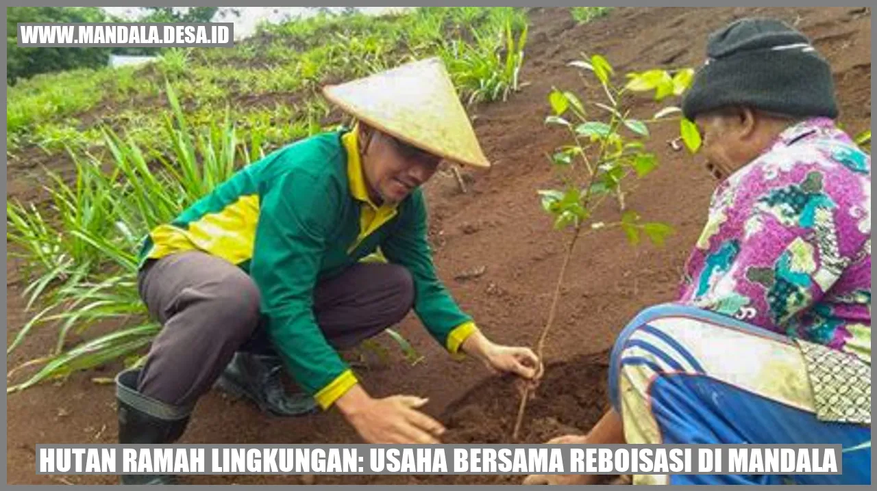 Hutan Ramah Lingkungan: Usaha Bersama Reboisasi di Mandala