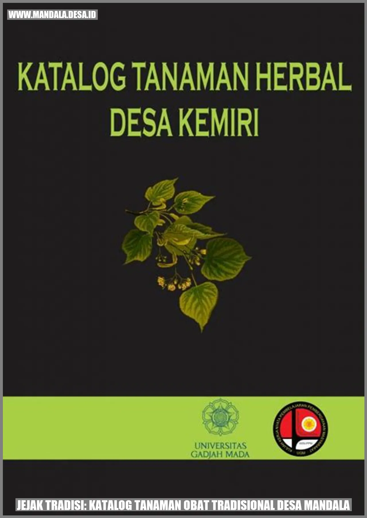 Jejak Tradisi: Katalog Tanaman Obat Tradisional Desa Mandala
