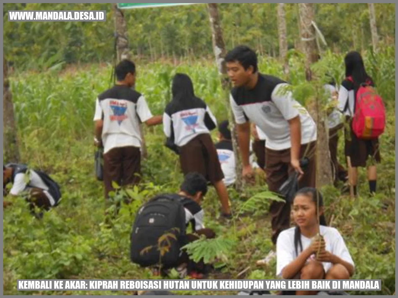 Reboisasi Hutan Mandala
