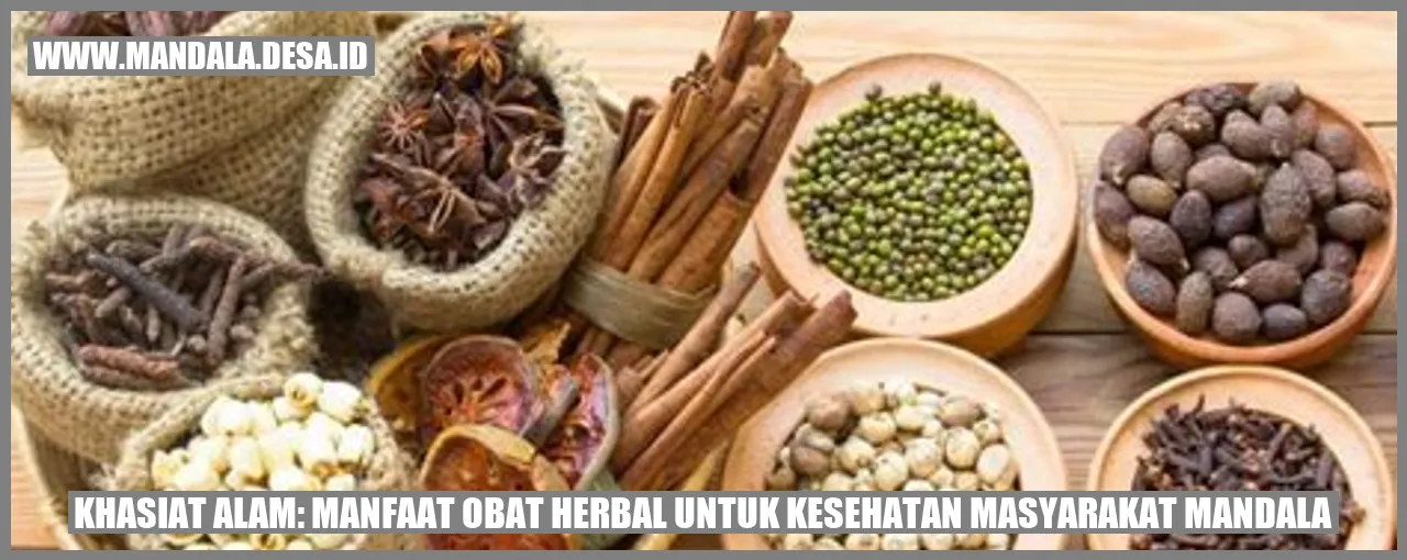 Daun Dewa - Khasiat Alam: Manfaat Obat Herbal untuk Kesehatan Masyarakat Mandala
