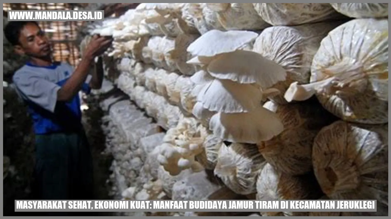 Jamur Tiram di Kecamatan Jeruklegi