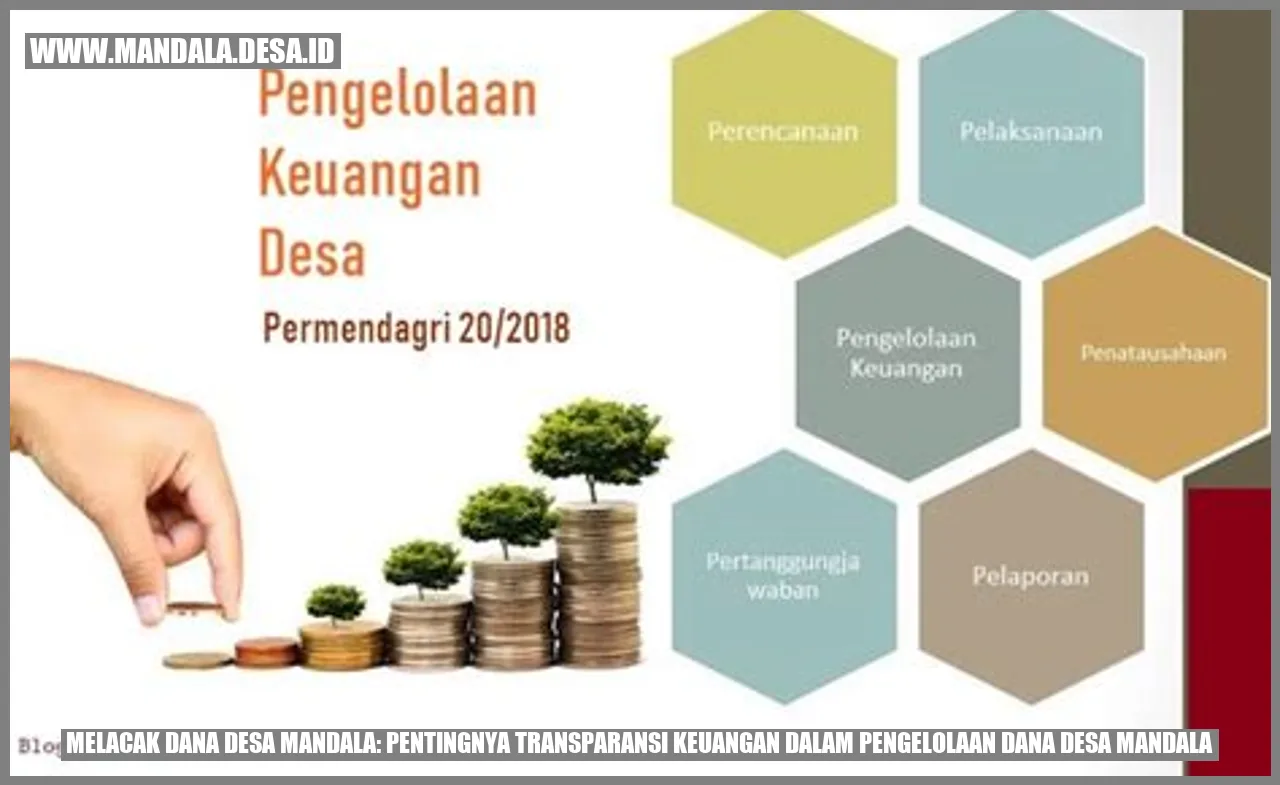 Melacak Dana Desa Mandala: Pentingnya Transparansi Keuangan dalam Pengelolaan Dana Desa Mandala