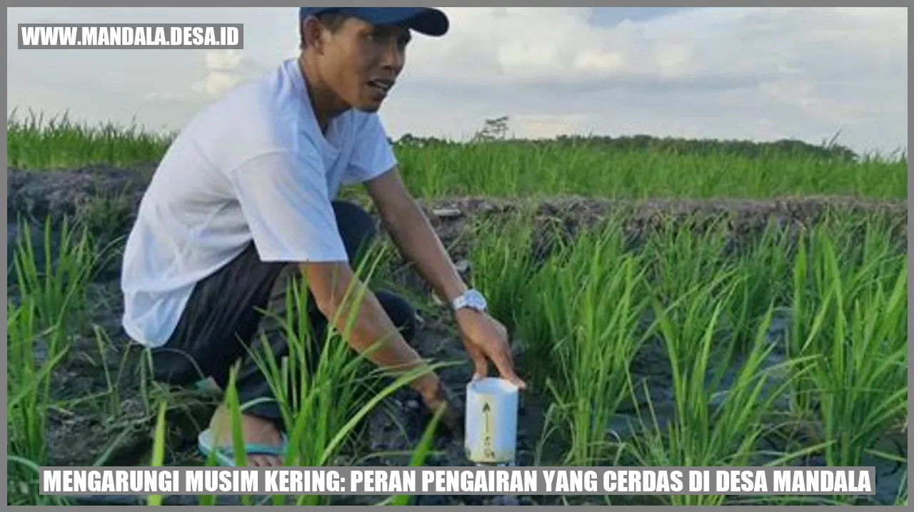 Mengarungi Musim Kering: Peran Pengairan yang Cerdas di Desa Mandala