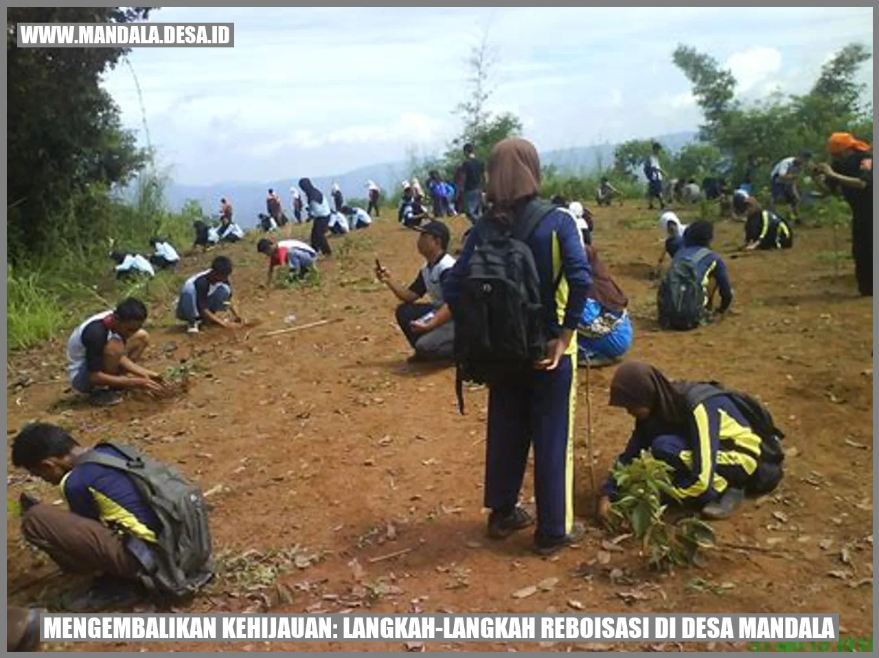 Reboisasi di Desa Mandala
