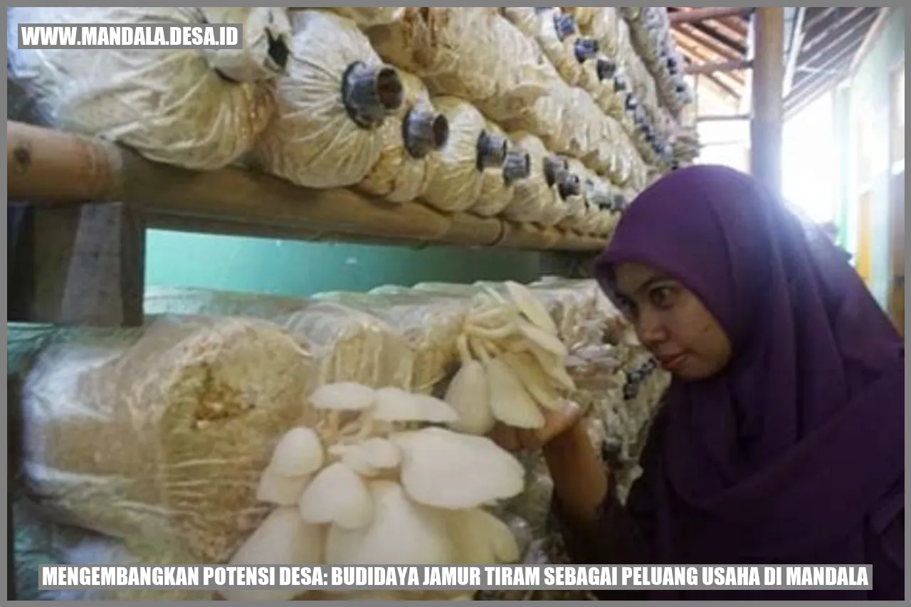 Budidaya Jamur Tiram
