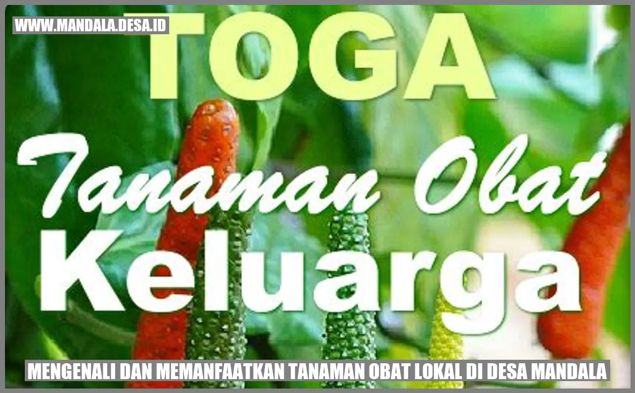 Tanaman Obat Lokal