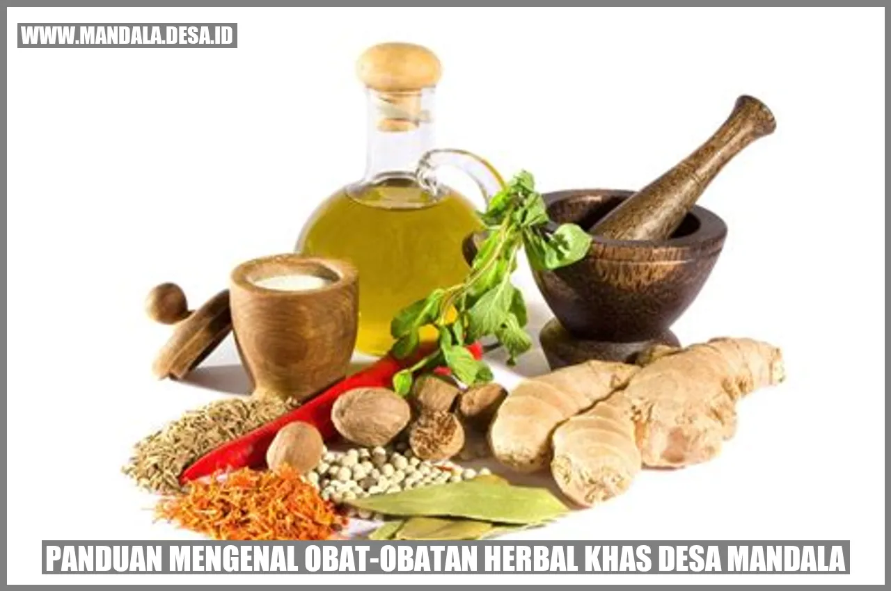Gambar Obat-obatan Herbal Khas Desa Mandala