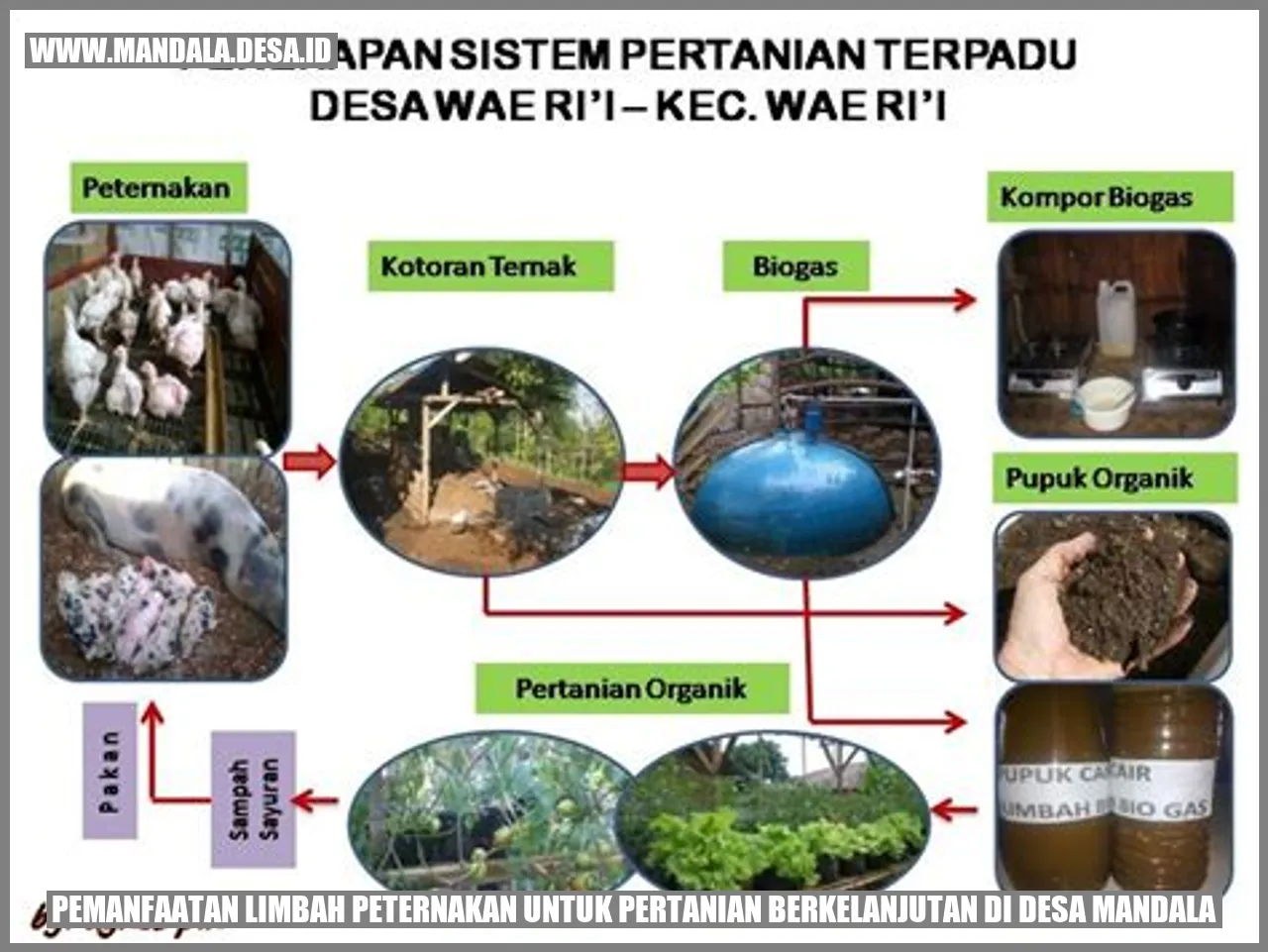 gambar peternakan