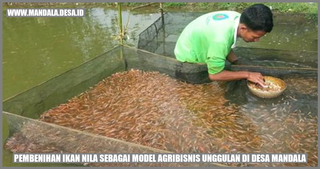 Pembenihan Ikan Nila sebagai Model Agribisnis Unggulan di Desa Mandala