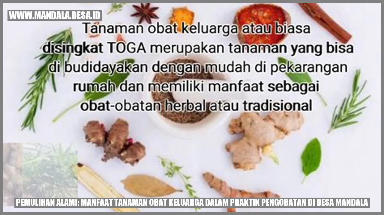Gambar Tanaman Obat Keluarga