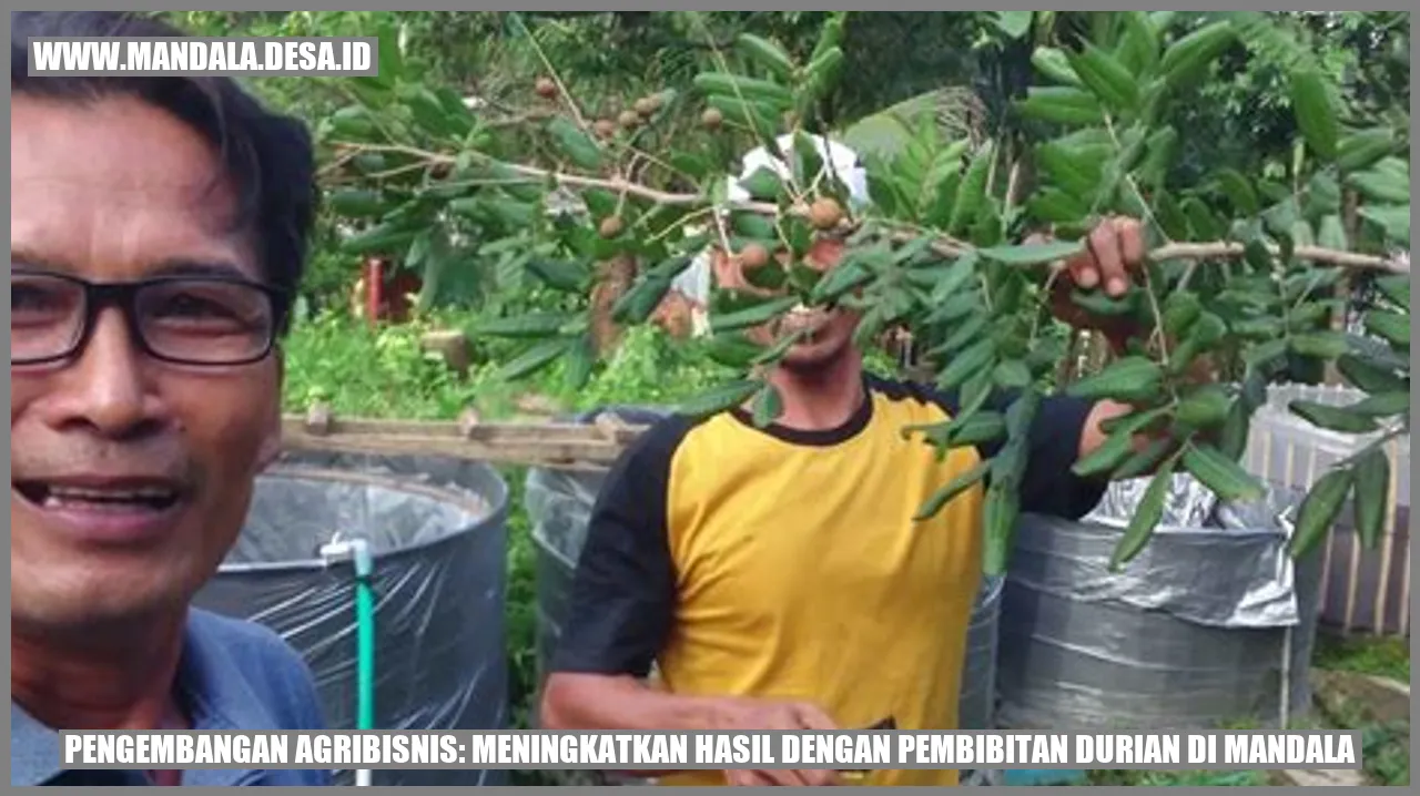 Pengembangan Agribisnis: Meningkatkan Hasil dengan Pembibitan Durian di Mandala