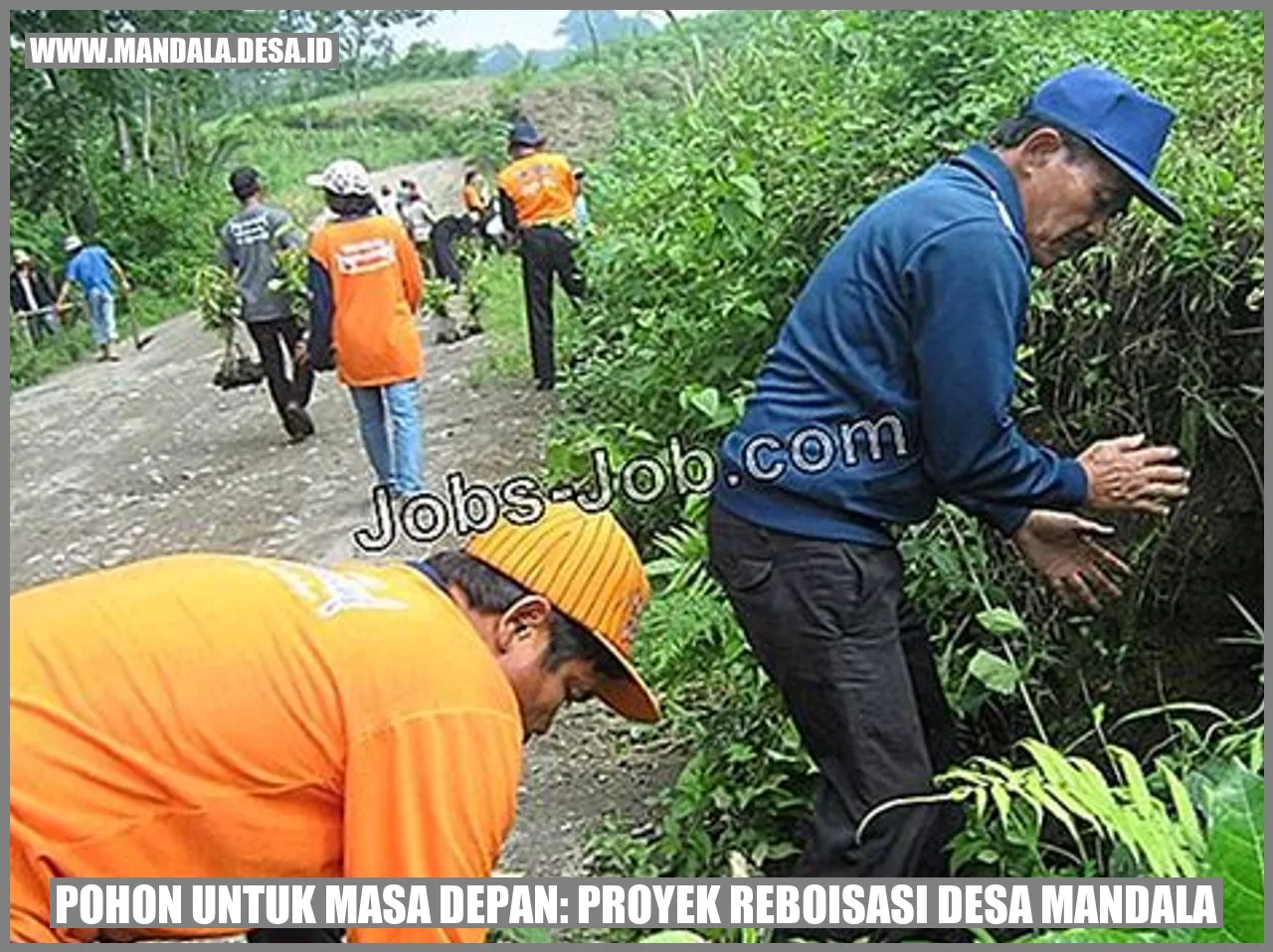Gambar Pohon untuk Masa Depan: Proyek Reboisasi Desa Mandala
