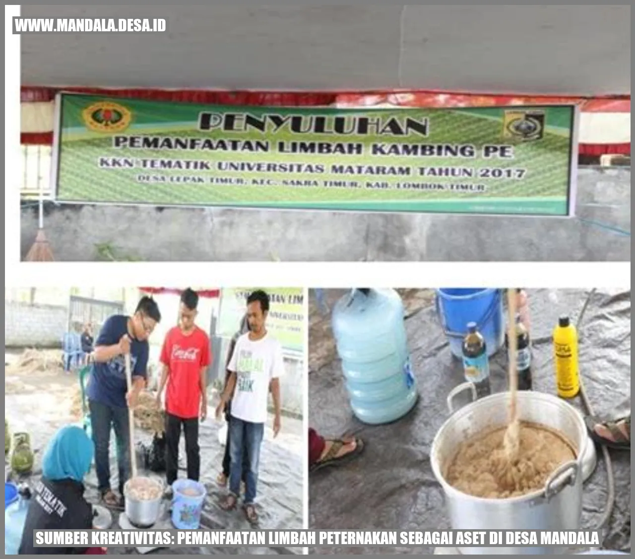 Sumber Kreativitas: Pemanfaatan Limbah Peternakan sebagai Aset di Desa Mandala