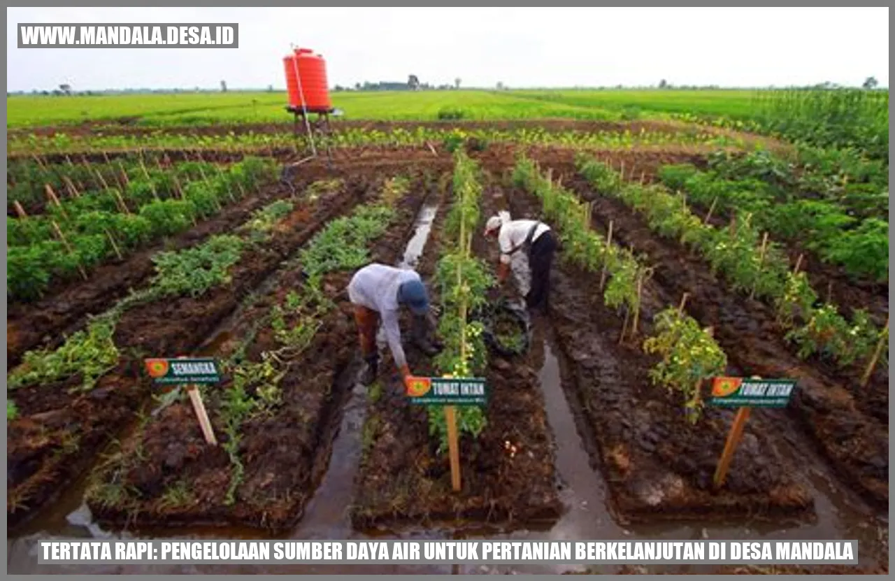 Pertanian di Desa Mandala