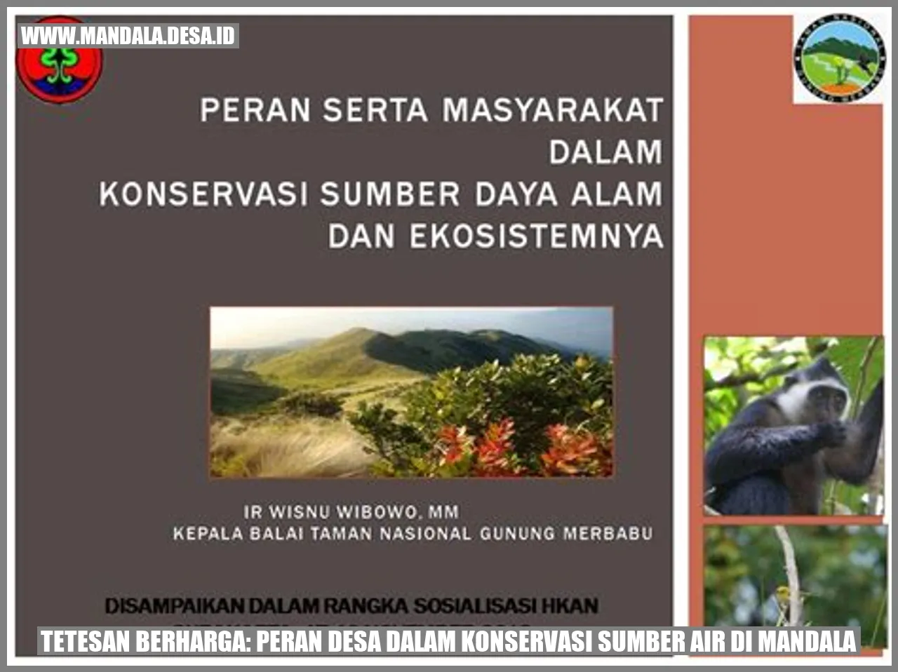 Tetesan Berharga: Peran Desa dalam Konservasi Sumber Air di Mandala