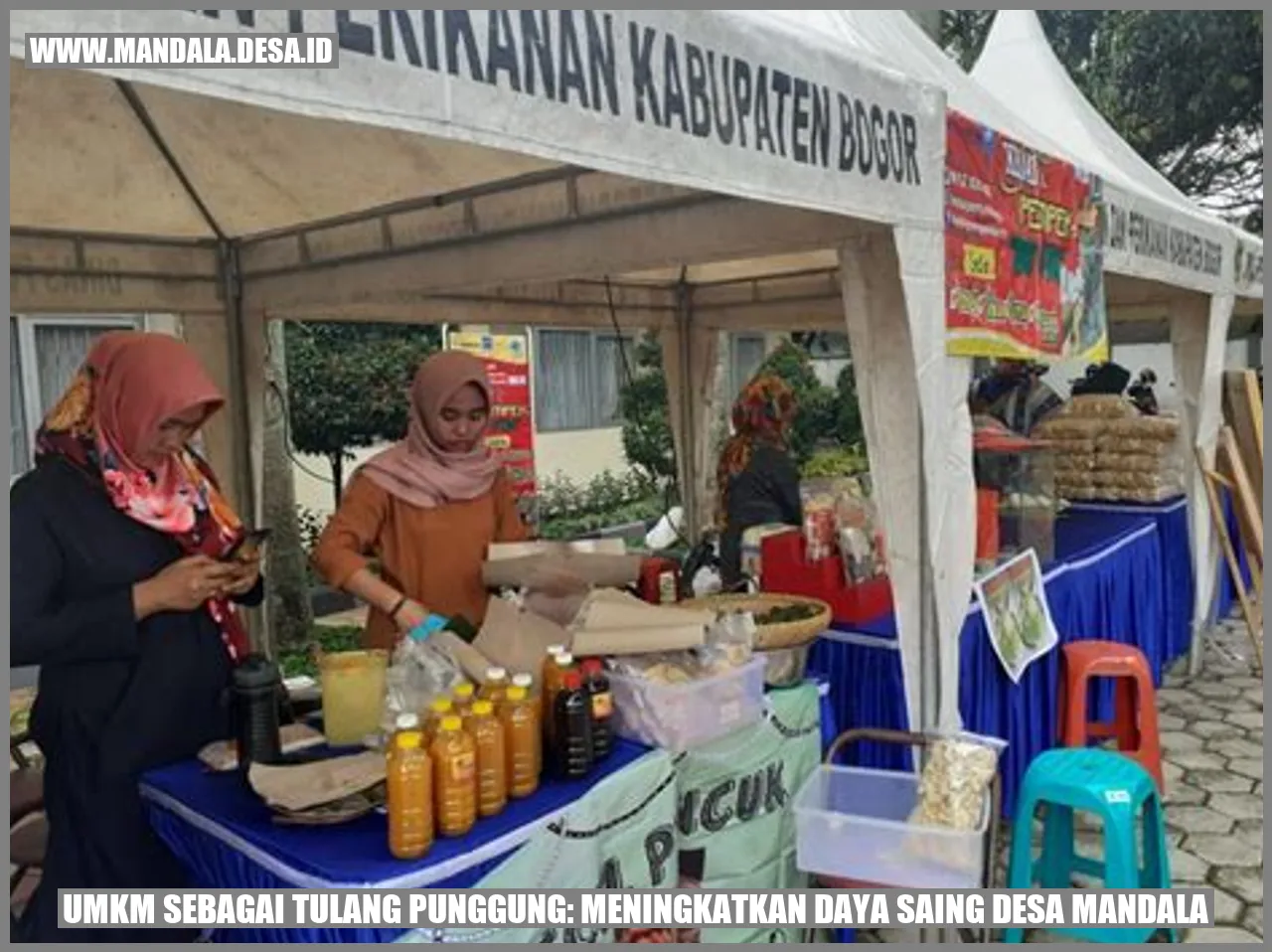 UMKM Sebagai Tulang Punggung: Meningkatkan Daya Saing Desa Mandala